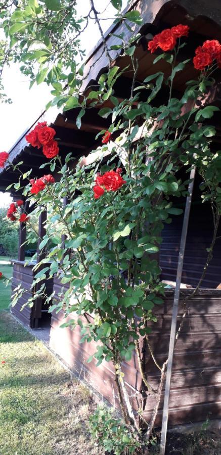 Gaestehaus Brigitte Freudenstadt Dış mekan fotoğraf